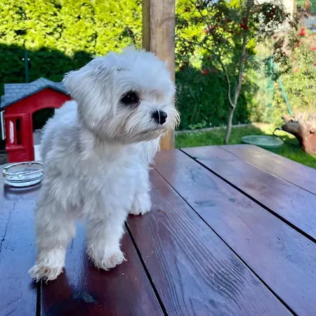 Σπίτι διακοπών Morska Fala *