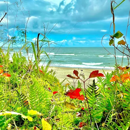 Morska Fala 度假居