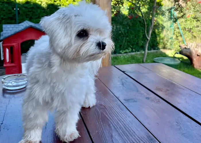 בית נופש Morska Fala *