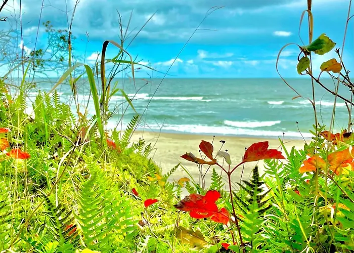 Z Bala Dom wakacyjny