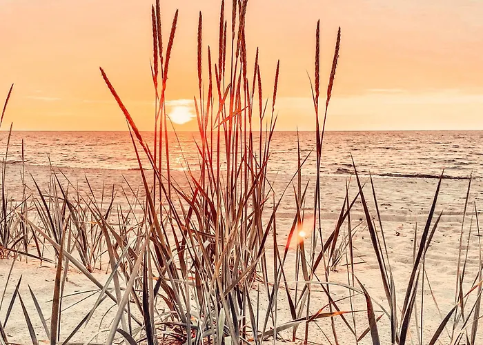 Dom wakacyjny Z Bala Pobierowo